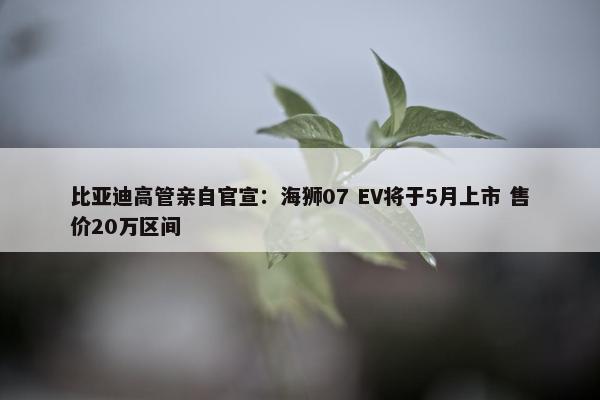 比亚迪高管亲自官宣：海狮07 EV将于5月上市 售价20万区间