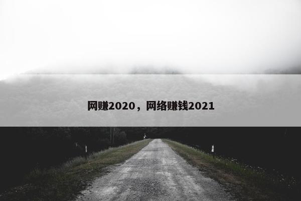 网赚2020，网络赚钱2021