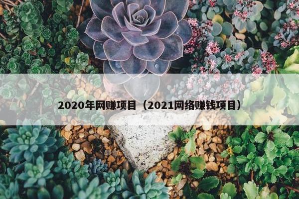 2020年网赚项目（2021网络赚钱项目）