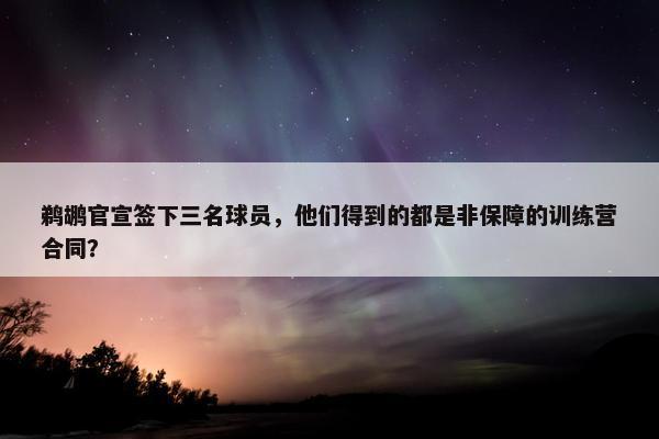 鹈鹕官宣签下三名球员，他们得到的都是非保障的训练营合同？