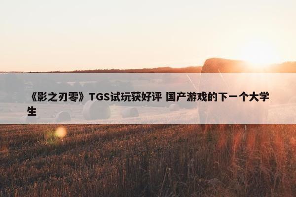 《影之刃零》TGS试玩获好评 国产游戏的下一个大学生