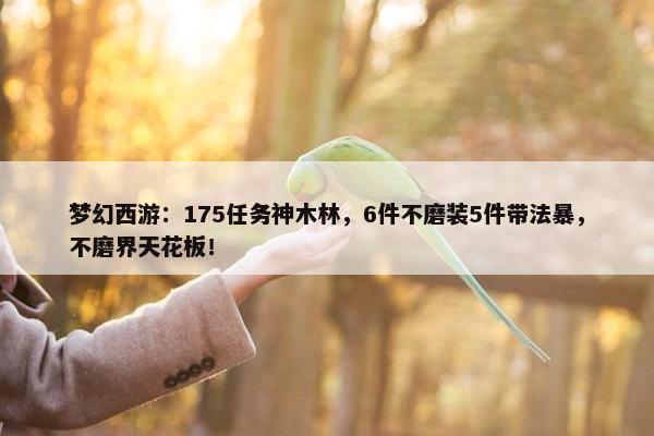 梦幻西游：175任务神木林，6件不磨装5件带法暴，不磨界天花板！