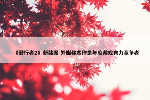 《潜行者2》新截图 外媒称本作是年度游戏有力竞争者